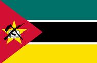 莫桑比克国旗的含义（世界各国国旗图片大全）