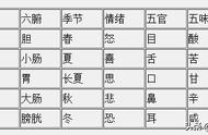 五行和五脏六腑的关系的图表（人体五脏六腑与五行对应关系）