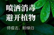 84消毒液对植物有伤害吗（不小心用84浇花怎么办）