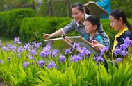 幼儿园教学衔接线上教学工作计划（幼儿园线上教学计划安排表）