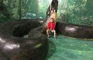 世界第一巨蛇真实照片（四川50米长巨蛇之谜）