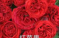 梦到红色玫瑰花预示着什么（梦到自己买玫瑰花是什么征兆）