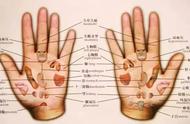 左手掌对应五脏六腑图（五脏在手掌反射区图）