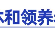 同一地区的养老保险怎么合并（个人养老保险怎么合并）