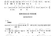 学拉豫剧板胡曲谱（豫剧板胡指法简谱）