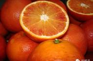 血橙主要品种有哪些（最好的血橙品种排名）