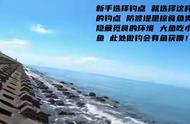 海边路亚可以钓什么鱼（路亚可以钓什么鱼淡水）