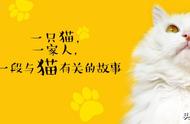 猫咪为什么不吃黄鳝（猫不吃黄鳝是什么原因）