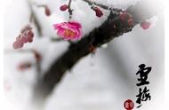 雪梅古诗其一其二（雪梅二首其一原文及翻译）