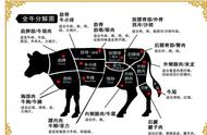 牛肉26个分解图（牛肉部位分解图全部）