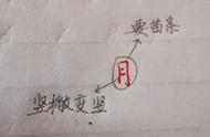 月字底的字大多什么有关（带有月字有关的字大多与什么有关）