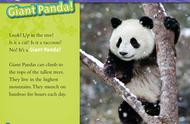 熊猫擅长什么英语（熊猫的特长和特征有哪些英文）