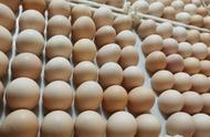 鸡蛋批发商一箱的利润大概是多少（2022鸡蛋批发商一箱的利润）