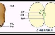 沙子和干粘土有什么特点