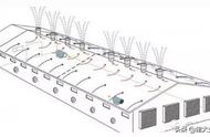 猪舍去除氨气有妙招（猪舍怎么消除氨气最快方法）