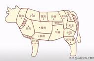 牛肉各个部位的吃法（牛肉26个分解图图片）