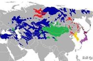 世界四大语系是哪四种（世界语系分类有4大语系）