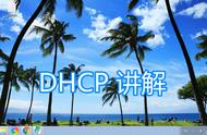 dhcp的dns必须设置吗（dns设置哪个最好最快电信）