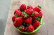 草莓是在几月份成熟啊（草莓一月份成熟了吗）
