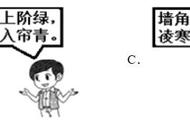 植物的叶片表皮属于组织吗（叶片表皮细胞呈什么形）