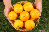 果冻橙与普通橙哪个营养价值高