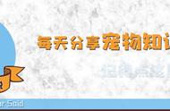 狗狗一岁相当于人类几岁（你知道狗狗1岁相当于人类几岁吗）