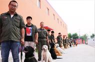 到哪里学习专业训犬（想学习训犬技术去哪个学校）