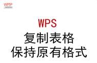 wpsppt粘贴保留原格式怎么设置（wps表格粘贴到ppt怎么保持原格式）