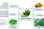 greenpepper怎么读（bell pepper怎么发音）