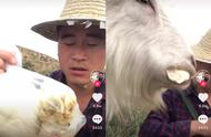 做面食小羊馒头的视频（小羊馒头怎样做）