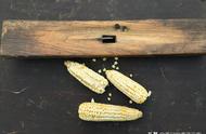 农村剥玉米专用工具（剥大量玉米神器）