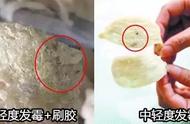 燕窝煮好了变黑了还能吃吗（燕窝煮出来的颜色发黑是坏了吗）