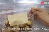 上海冰箱收纳技巧视频（双门冰箱收纳技巧）