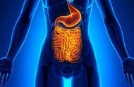 肠道里的细菌有多少类（我们肠道里的细菌只有八大类吗）