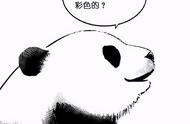 熊猫吐舌头漫画头像（熊猫吐舌头漫画长图）