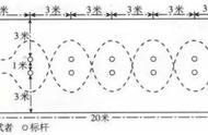 九年级体育特长生篮球训练方法（初中体育生可以怎么训练篮球）