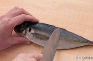怎样分离鱼刺和鱼肉（鱼肉和鱼刺分离方法）