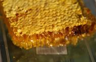 如何鉴别蜂蜜中掺白糖（怎么鉴定蜂蜜有没有掺白糖）