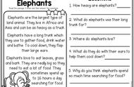 大象用英语怎么读elephants（大象英语怎么读elephant）