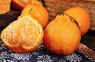 丑橘为什么不能放冰箱（丑橘带袋放冰箱冷藏保存可以吗）
