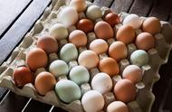 白鸡蛋和普通的鸡蛋有区别吗（绿鸡蛋和白鸡蛋营养有什么区别吗）