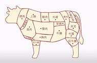 牛腱牛腩牛肉怎么区分（牛肉是牛腱好吃还是牛腩）