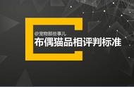 3个月布偶猫怎么看品相（两个月布偶猫小时候怎么判断品相）