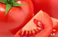 每天吃小番茄减肥好吗（减肥吃小番茄好还是大的好）
