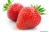 丹东草莓和奶油草莓有什么区别（丹东草莓和奶油草莓哪个好吃一点）