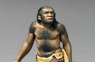 人类的起源的进化过程是谁写的（人类起源的演化过程怎么写）