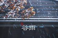 时雨含义（时雨的含义是什么）