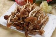 干茶树菇焖五花肉的做法大全集（干茶树菇炖五花肉的做法）