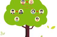 家庭人物关系树状图小学（家庭成员结构图照片）
