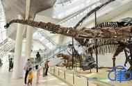 天津自然博物馆什么时候恢复营业（2022年天津自然博物馆开放时间表）